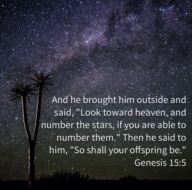 The Ninth Sunday after Pentecost, August 10, 2025